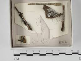 Attēlu rezultāti vaicājumam “Diderma hemisphaericum”