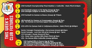 Image result for Culloville Gfc