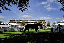 Image result for Chichester Priory Park Hockey Club