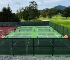 Image result for Dorset Pickleball Club