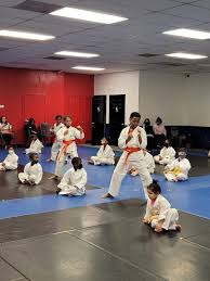 Image result for Championship Martial Arts Winter Springs