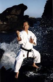Image result for kyokujitsu Kai