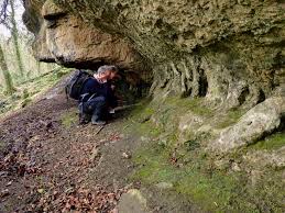 Attēlu rezultāti vaicājumam “Conardia compacta”