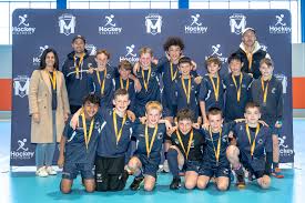 Image result for Waverley & Inveresk Hockey Club