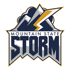 Image result for Gateshead Storm