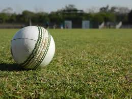 Image result for Shere Cricket Club