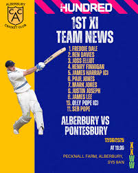 Image result for Alberbury Cricket Club