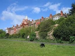 Image result for Frodsham Cc