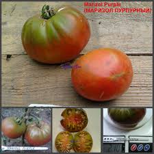 Afbeeldingsresultaat voor marizol purple tomato