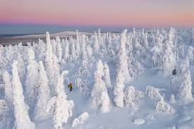 Image result for schnee