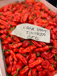 Afbeeldingsresultaat voor naga jolokia hot pepper