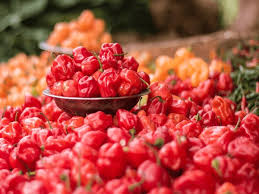 Afbeeldingsresultaat voor aji habanero hot pepper