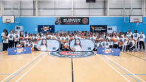 Image result for Milton Keynes Village Community Sports Club