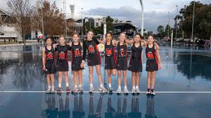 Image result for Newdigate Netball Club