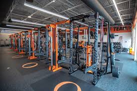Image result for Angmering School Of Gym