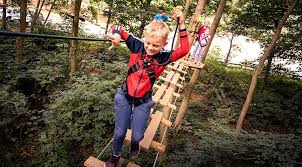 Image result for Go Ape! Whinlatter