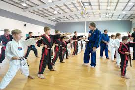 Image result for Taekwondo Witney