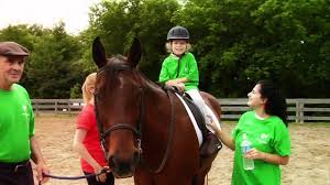 Image result for Riding For The Disabled Association