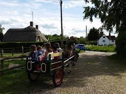 Image result for Shalford F C