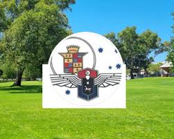 Image result for Falcon Sa Club
