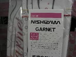 「西沢一樹」の画像検索結果