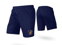 Image result for Yelverton Bohemians Cricket Club