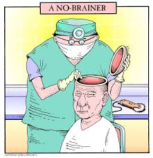 Image result for no brain