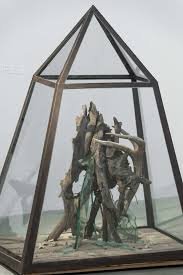 Image result for TRIANGLE CHANGQUAN FLYING DRAGON