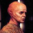 bald heads, and ears that