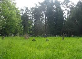 Image result for Worplesdon Tennis Association