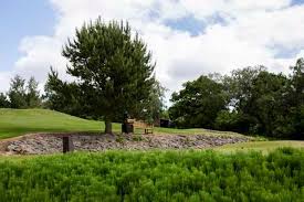 Image result for Bellingham Golf Club