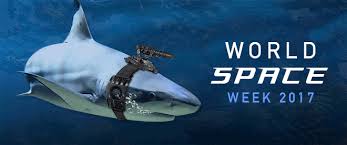 Image result for sharks lasers