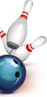 Image result for Grantham & District Indoor Bowling Club