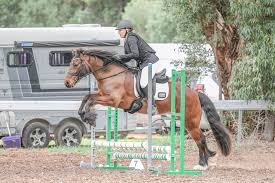 Image result for Chobham and District Riding Club