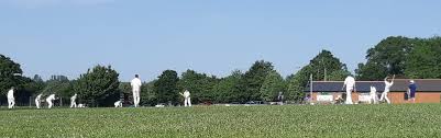 Image result for Woolpit Cricket Club