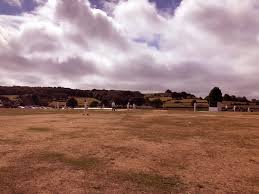 Image result for The Paddock Cricket Club