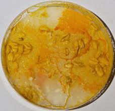 Attēlu rezultāti vaicājumam “Physarum bryomacrocarpum spores”