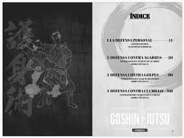 Image result for Goshin Ryu Atemi JuJitsu