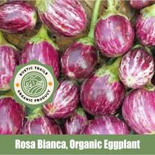 Afbeeldingsresultaat voor bianca a uovo eggplant