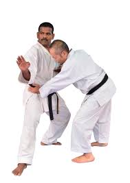 Image result for Nottingham Sankukai Karate