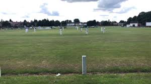 Image result for Griff & Coton Cc