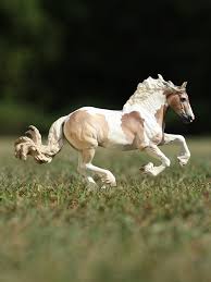 Image result for White Horse Model Club