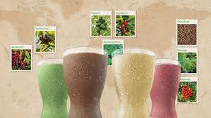 Image result for Sacha Health Club