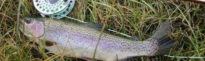 Image result for Trimpley Anglers Association