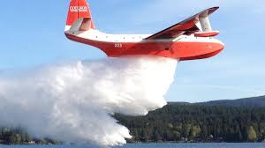 Image result for Combe Martin A F C