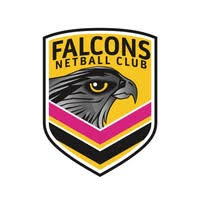 Image result for Falcons Netball Club