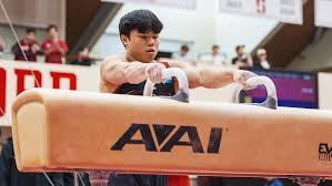 Image result for Arun Gymnastics Club