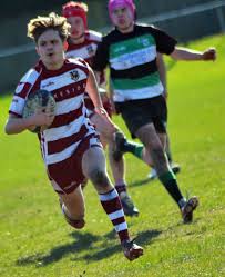 Image result for Lymm Rugby Union Football Club
