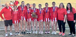 Image result for Delta Reds Netball Club