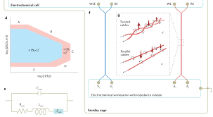 Image result for 2極化思考ËIvľ@=AC